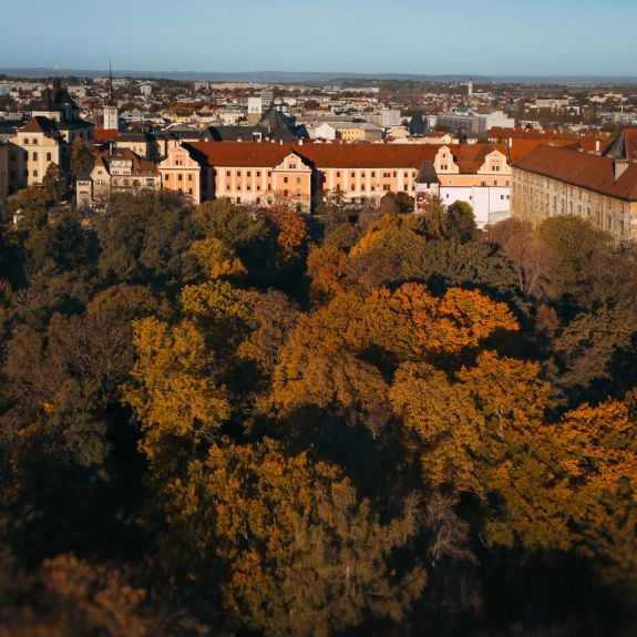 Málo kde jsou barvy podzimu tak krásné, jako při slunečném ránu v „našich“ Bezručových sadech. Ve stínu stromů a vysokých střech Konviktu. 💙🍁

#olomouc #univerzitnimesto